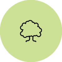 ico_arbol